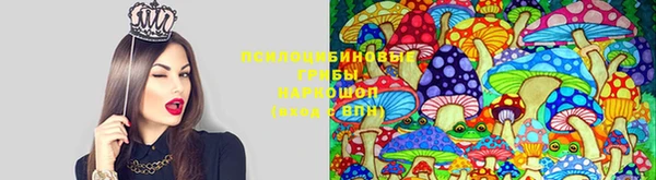 MDMA Premium VHQ Гусь-Хрустальный