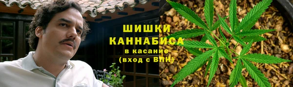 гашик Медногорск