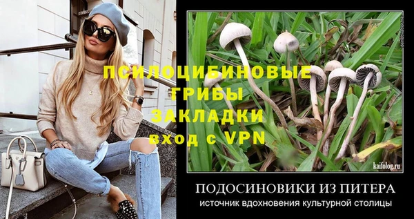 мефедрон Гусев