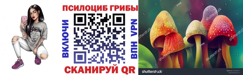 где купить   Дудинка  Галлюциногенные грибы Magic Shrooms 